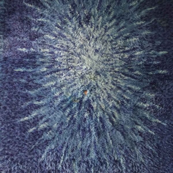 Grand tapis bleu – Image 3