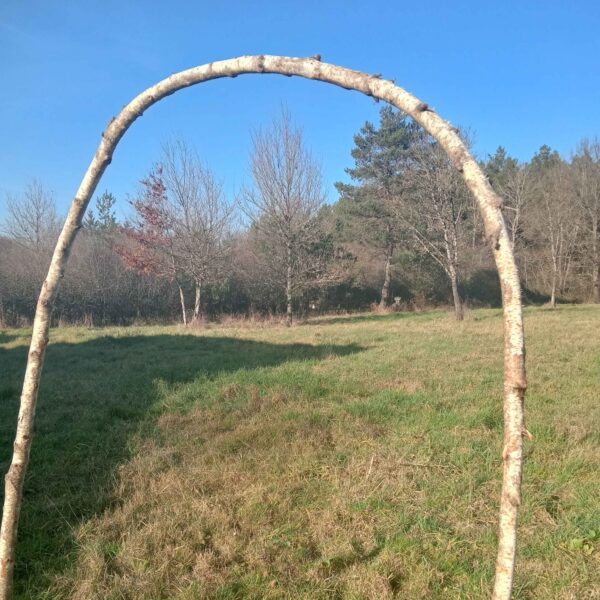 Arche arbre – Image 2