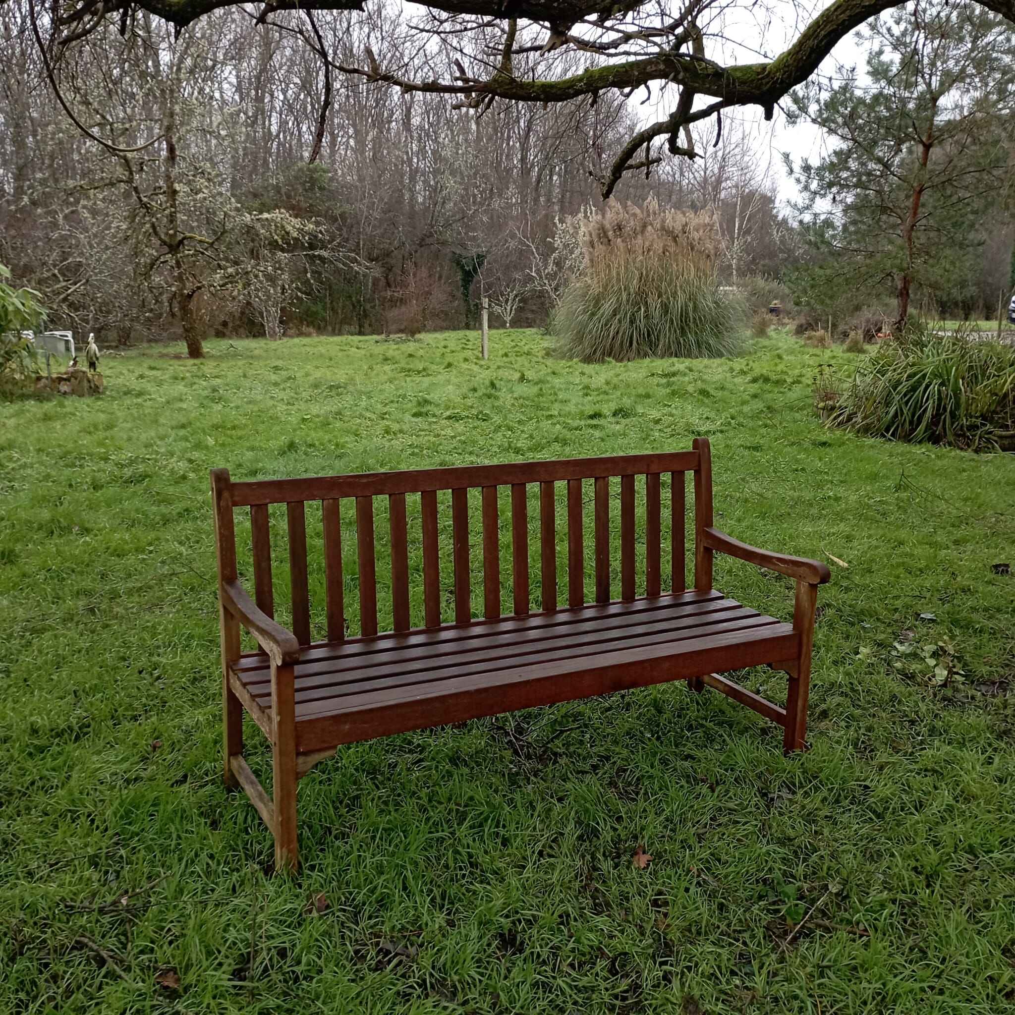 Banc