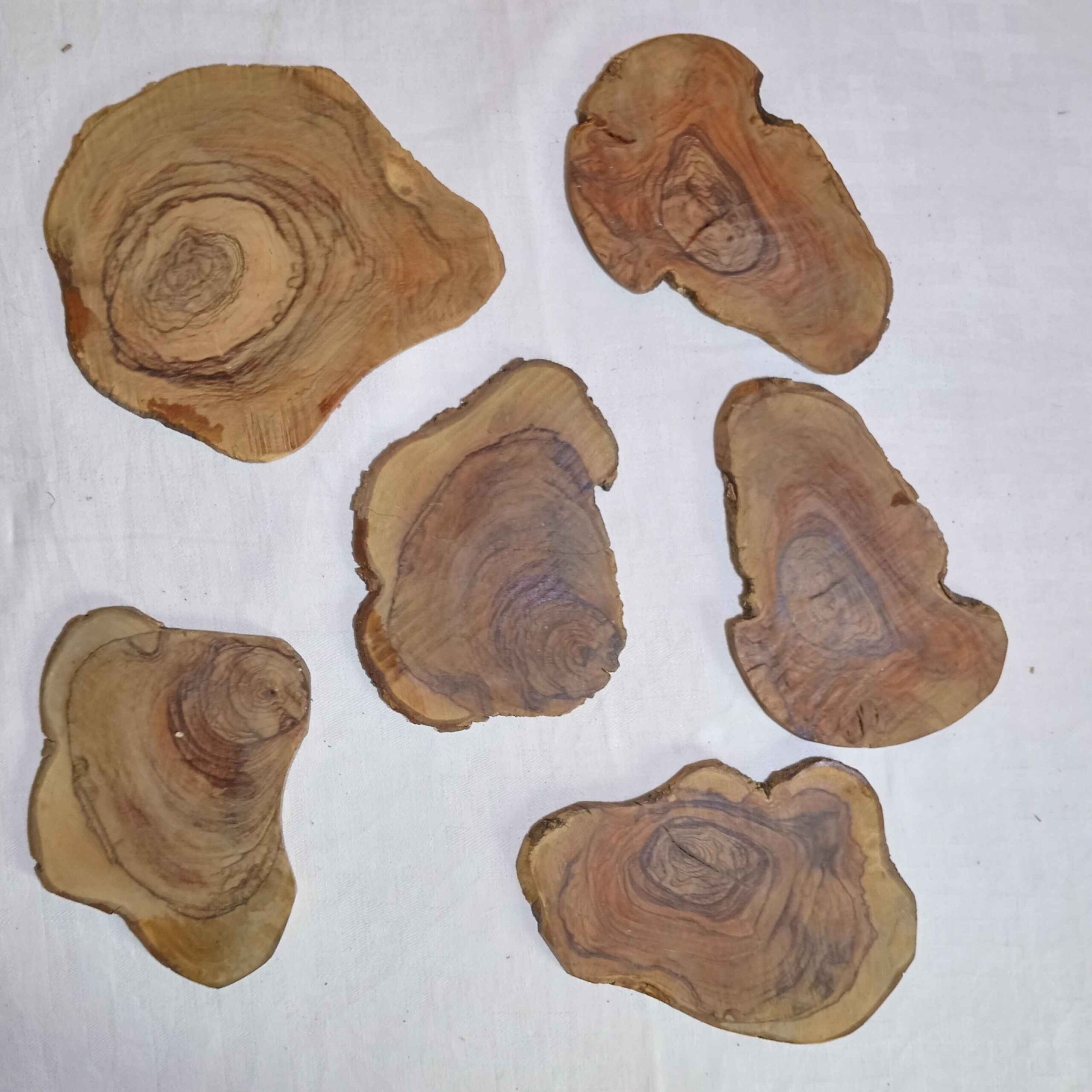 Rondins de bois, 6 exemplaires L845