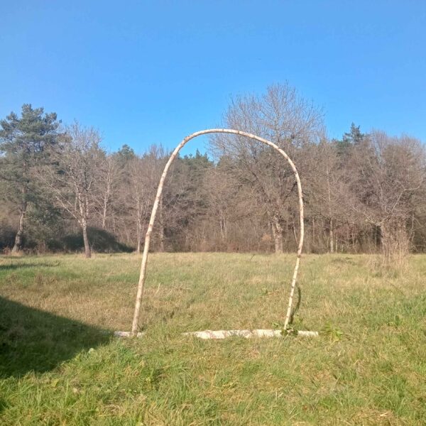 Arche arbre