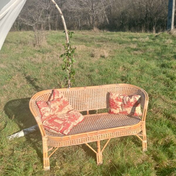 Coussins en toile de Jouy