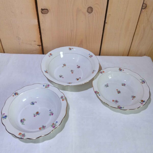Plats creux en porcelaine fleurie