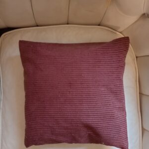 Coussin en velour