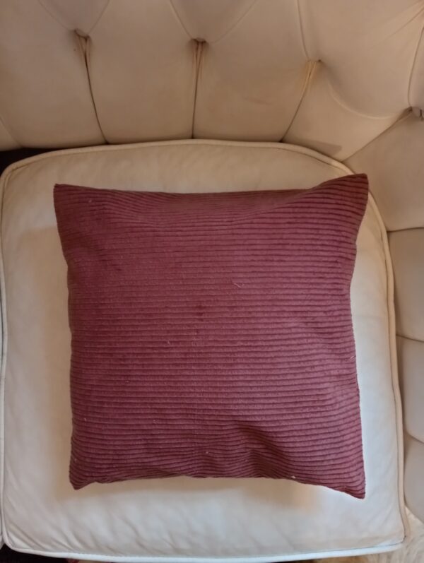 Coussin en velour – Image 2