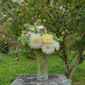 Vases en verre taillé <15cm, dépareillés