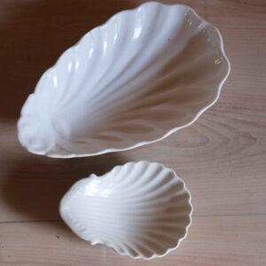 Coquillage en porcelaine