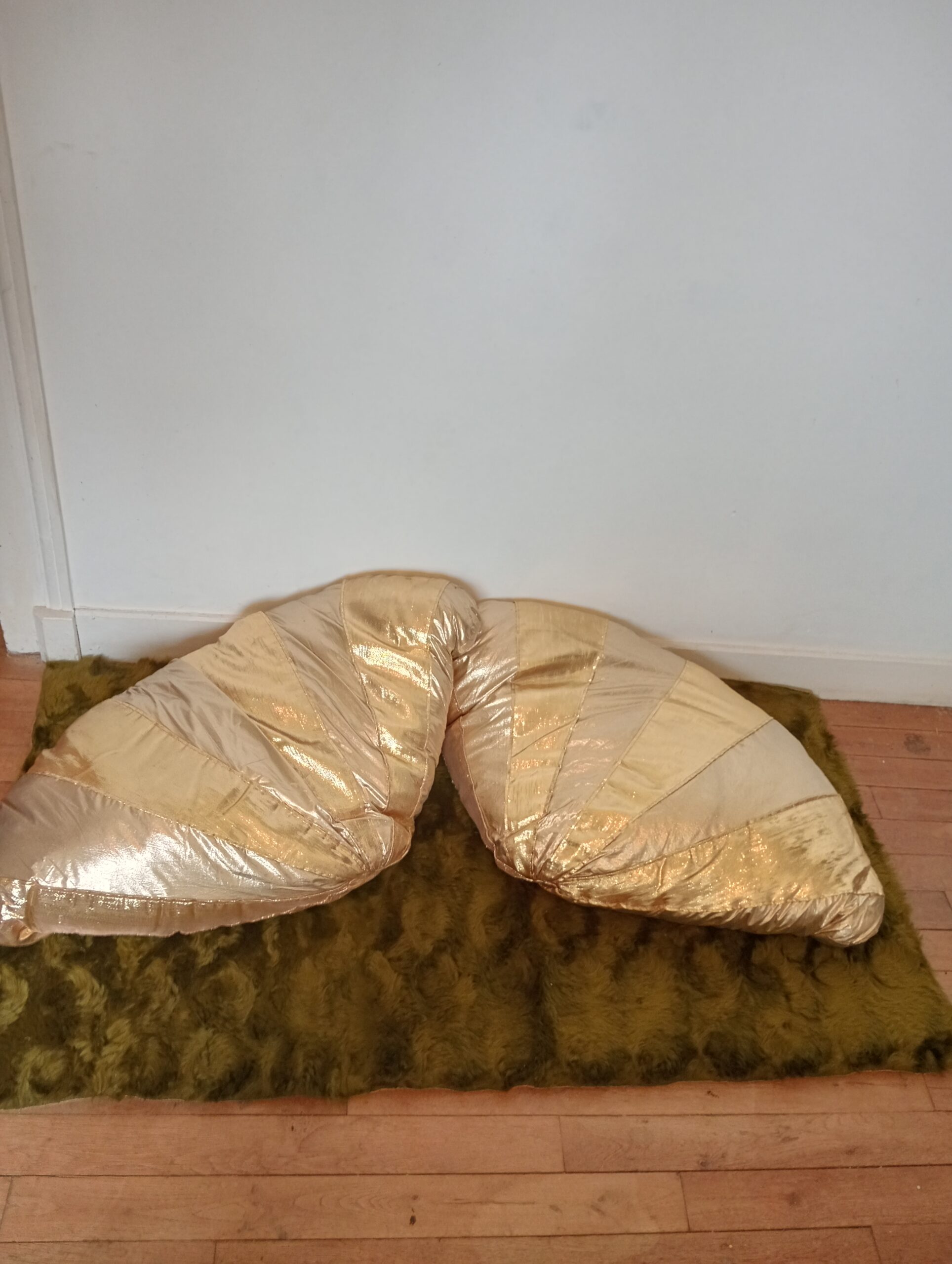 Coussins dorés