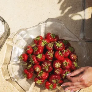 Plat en verre ou cristal