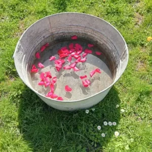 Bassine grand format