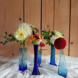 Vases bleus