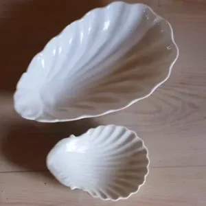Coquillage en porcelaine