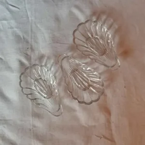 Coquillages en verre